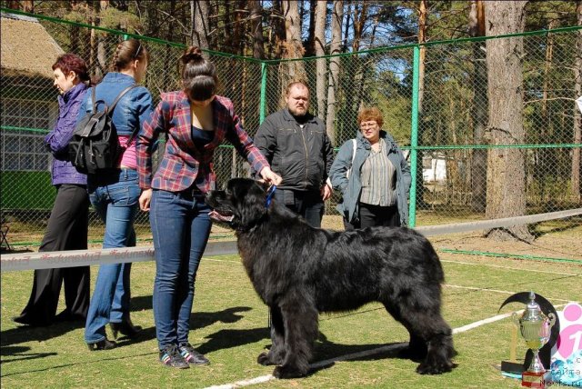 Фотография № 70641