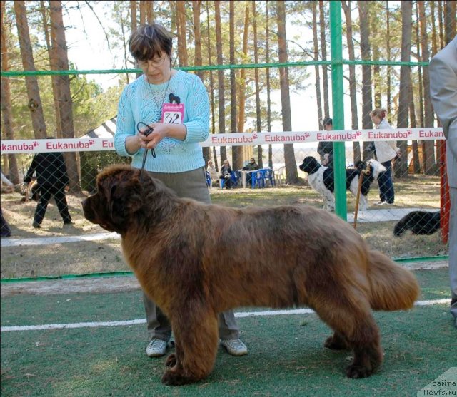 Фотография № 70642