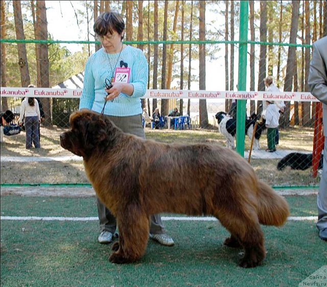 Фотография № 70643