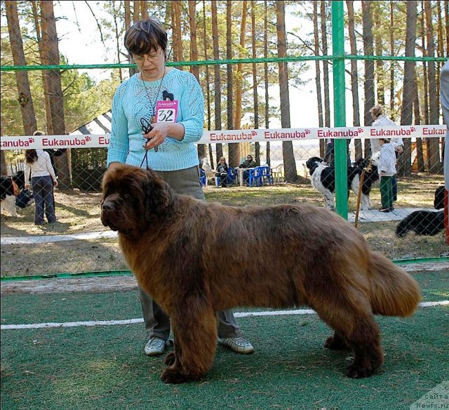 Фотография № 70644