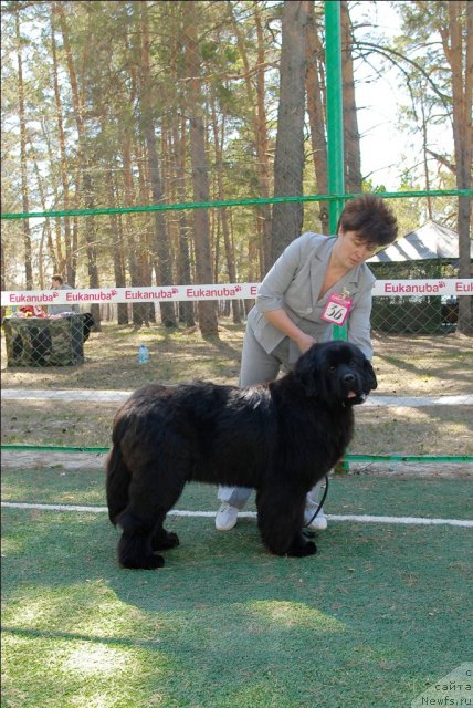 Фотография № 70651