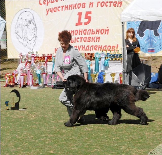 Фотография № 70653