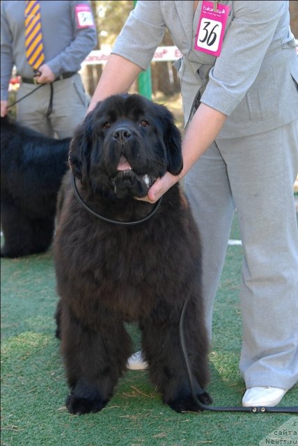 Фотография № 70654