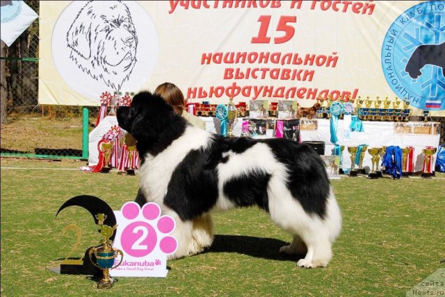 Фотография № 70659