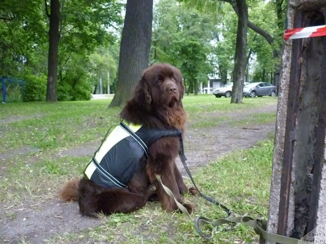 Фотография № 70781