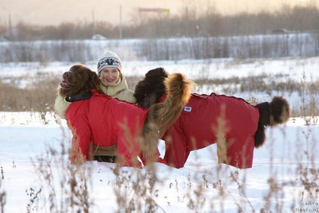 Фото: ньюфаундленд Юган с Тоянова Городка (Ygan s Toyanova Gorodka), ньюфаундленд Лесная Сказка Изольда, Надежда Момот