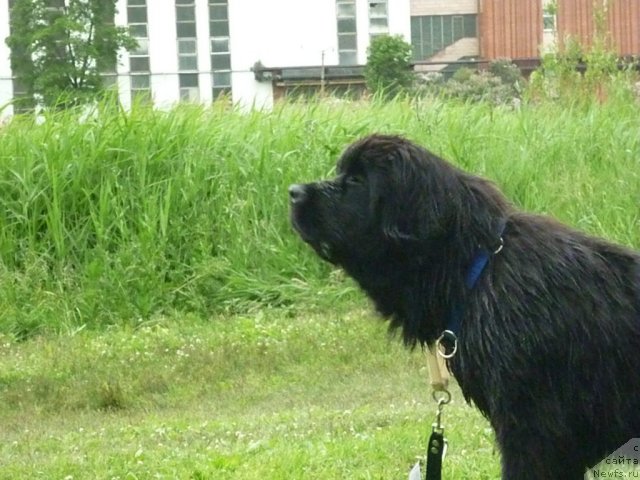 Фотография № 70822