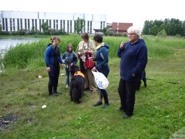 Фотография № 70832