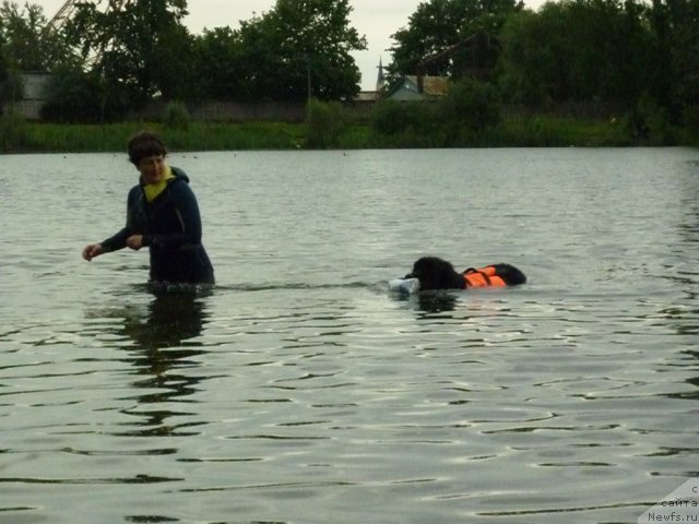 Фотография № 70834