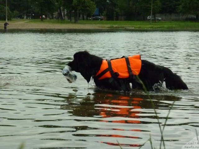 Фотография № 70836