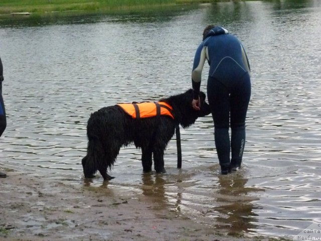 Фотография № 70846