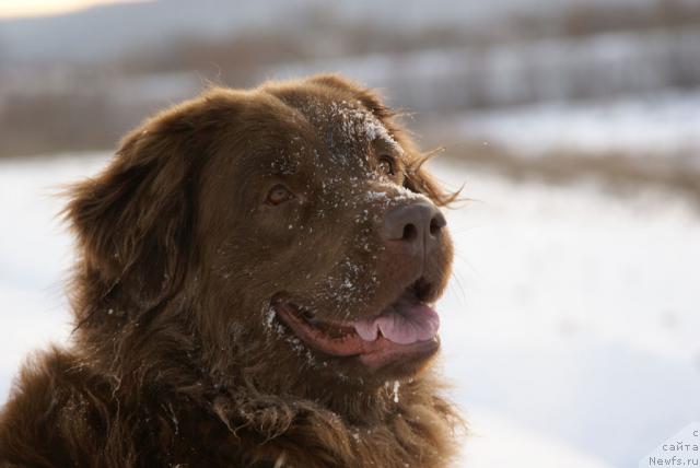 Фотография № 7085