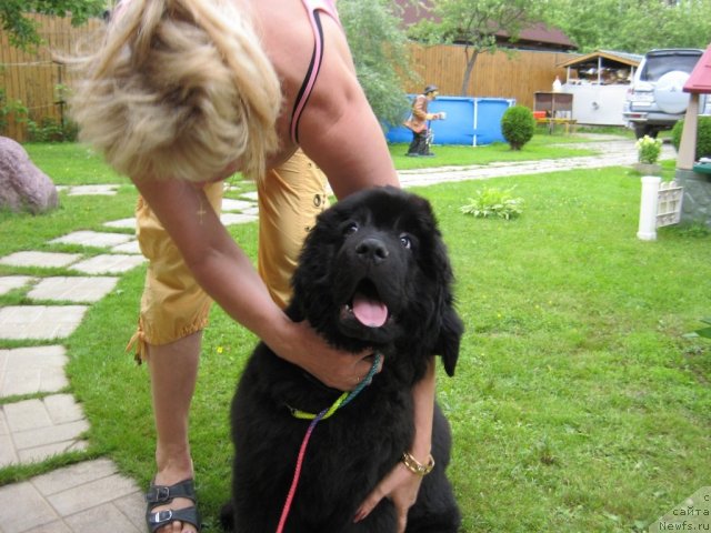 Фотография № 70862