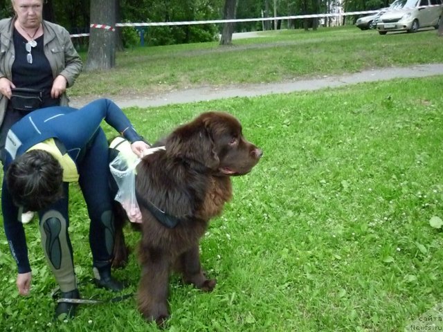 Фотография № 70865