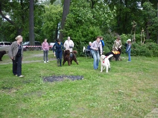 Фотография № 70867