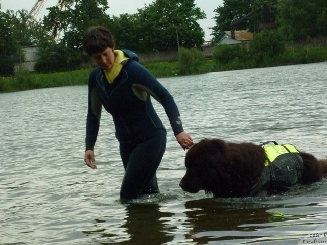 Фотография № 70873