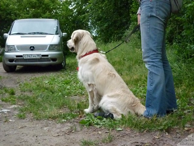 Фотография № 70900