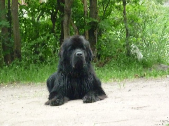 Фотография № 70903