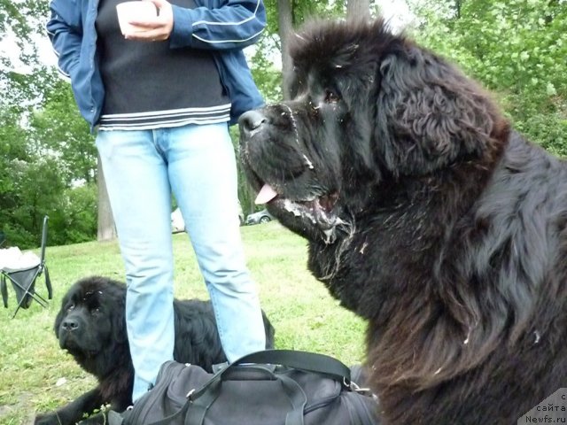 Фотография № 70915