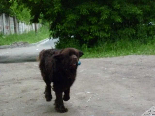 Фотография № 70924