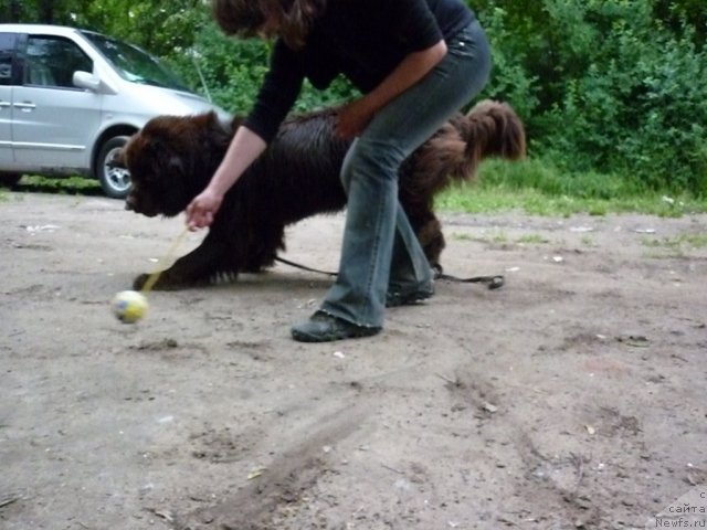 Фотография № 70926