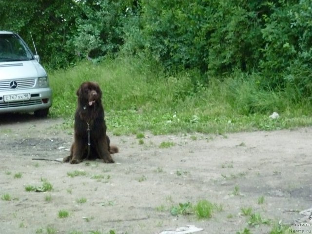 Фотография № 70933