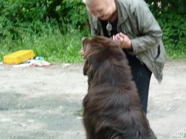 Фотография № 70937