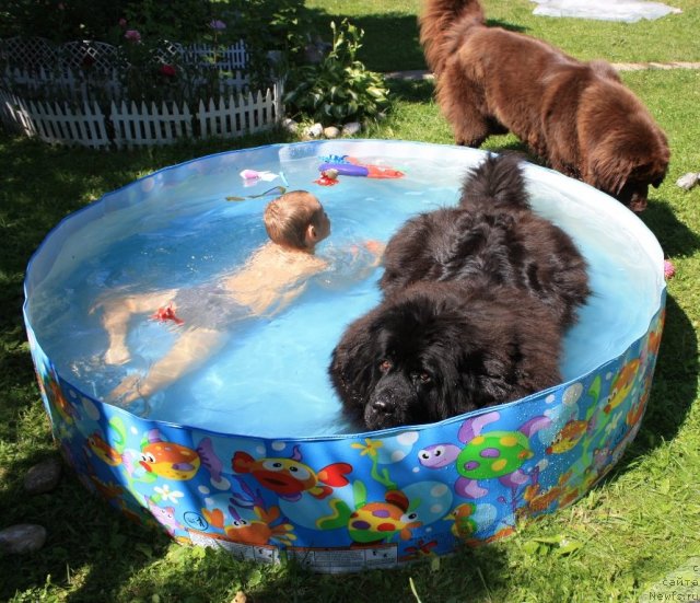 Фотография № 70947