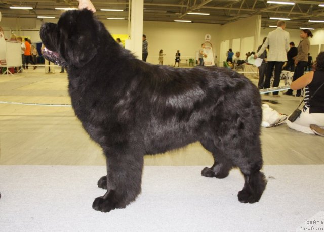 Фотография № 70957