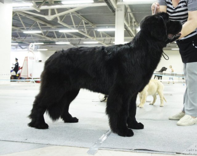 Фотография № 70959