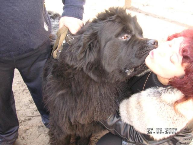 Фотография № 7099