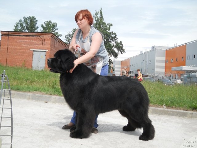 Фотография № 70993