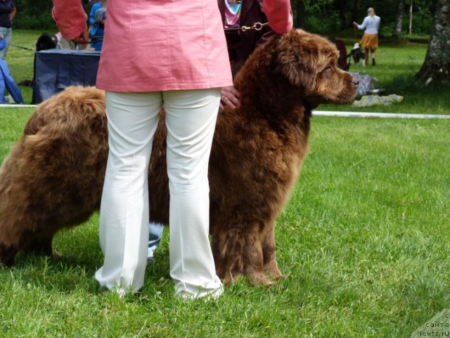 Фотография № 70996