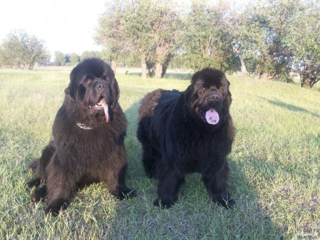 Фотография № 71003