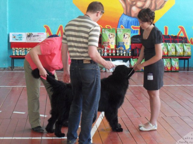 Фотография № 71006