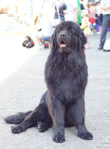 Фотография № 71008