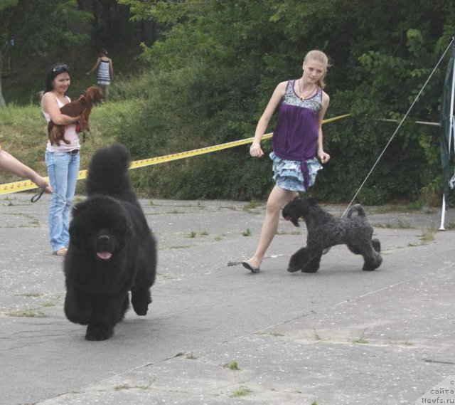 Фотография № 71011