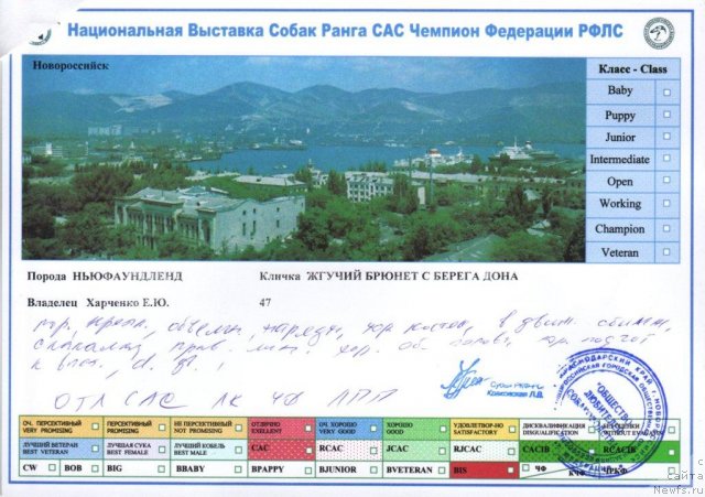 Фотография № 71016