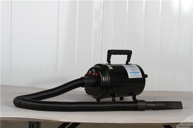 Фотография № 71019