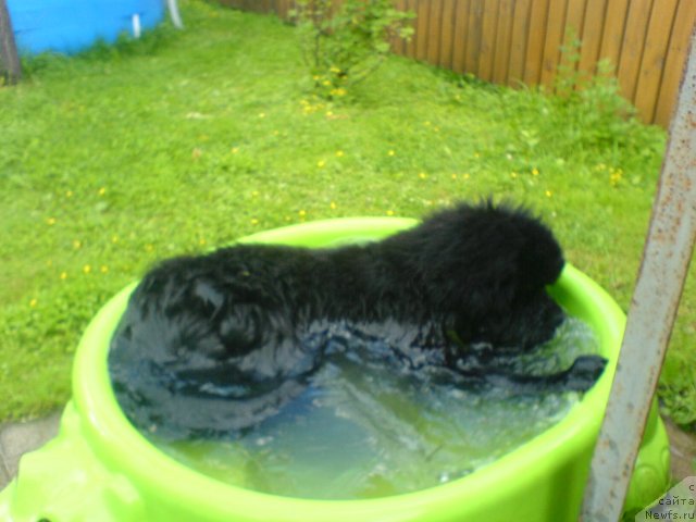 Фотография № 71041