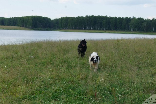 Фотография № 71063