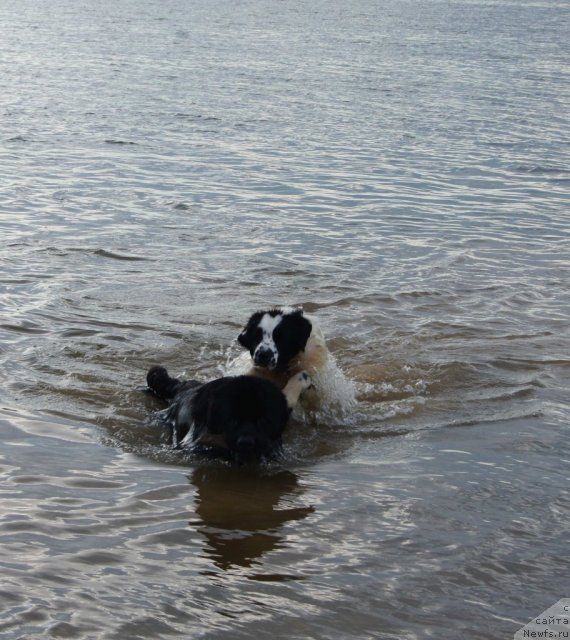 Фотография № 71066