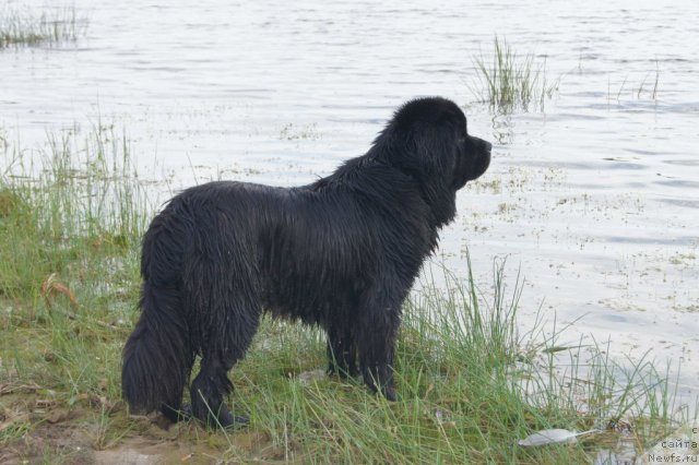 Фотография № 71067