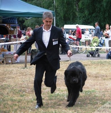 Фотография № 71077