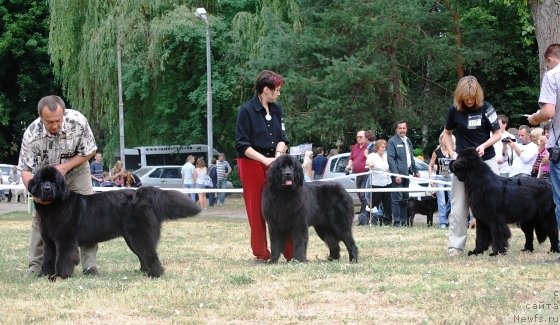 Фотография № 71078