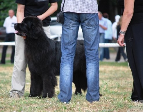 Фотография № 71079