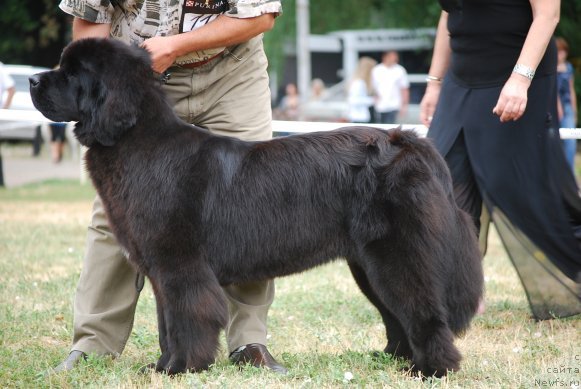 Фотография № 71081