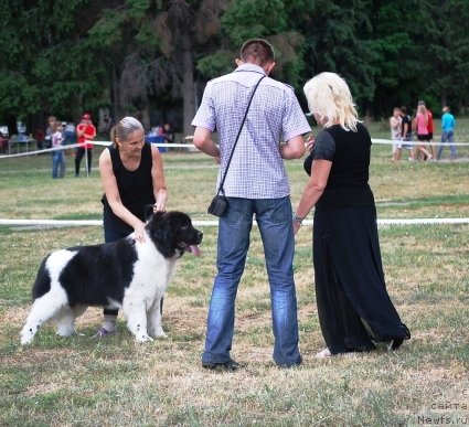 Фотография № 71083