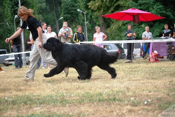 Фотография № 71085