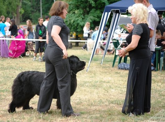 Фотография № 71091